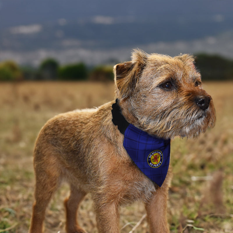 No Scotland No Party - Blue Tartan - Dog Bandana - 4 Sizes, alternate view