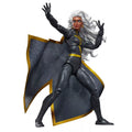 Marvel Legends Series The Uncanny X Men Storm Action Figure