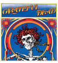Grateful Dead – Grateful Dead (Limited Edition Double-LP on Translucent Yellow Vinyl), side angle