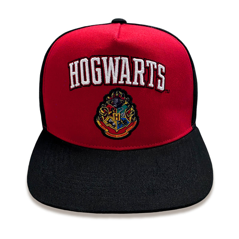 Harry Potter College Hogwarts Unisex Adults Snapback Cap collectible from Heroes Inc Dropship