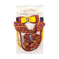 Harry Potter Trendy Gryffindor Bunny Ear Hair Set