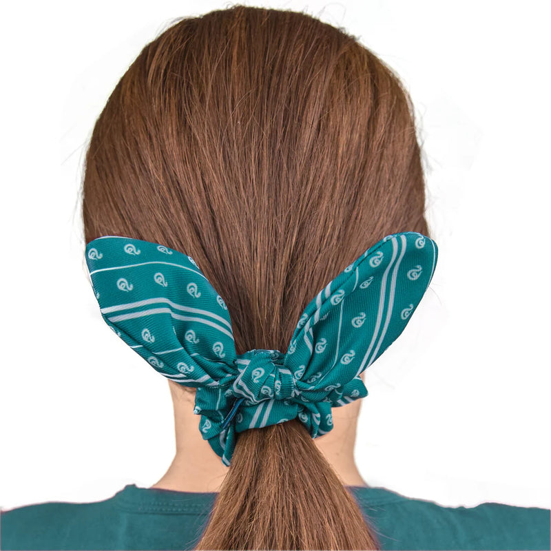 Harry Potter Trendy Slytherin Bunny Ear Hair Set, packaging shot