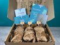 Plant Propagation Gift Set #3, close-up detail