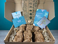 Plant Propagation Gift Set #3, alternate view