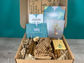 Plant Propagation Gift Set #2, size reference