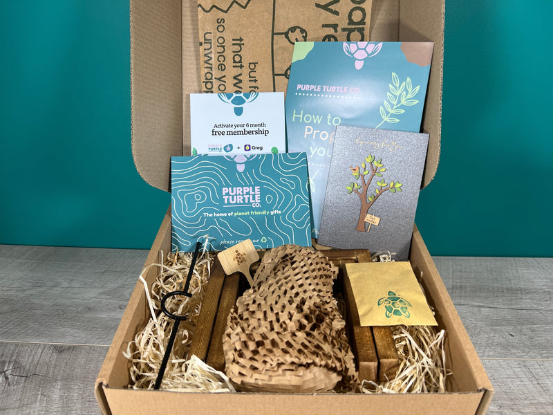 Plant Propagation Gift Set #2, size reference