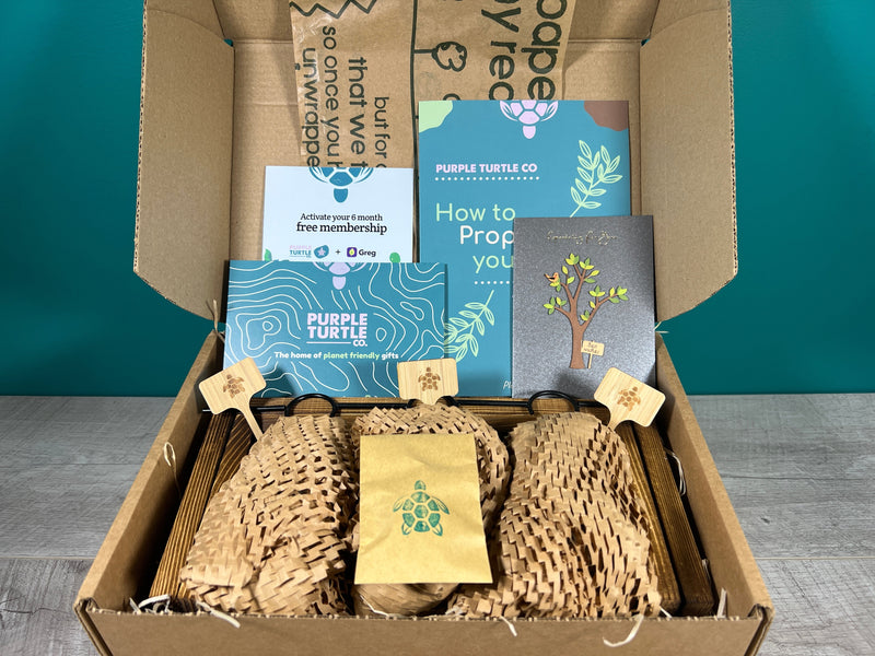 Plant Propagation Gift Set #2, close-up detail