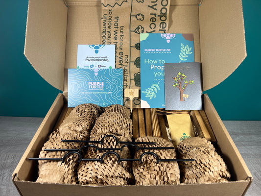 Plant Propagation Gift Set #2, alternate view