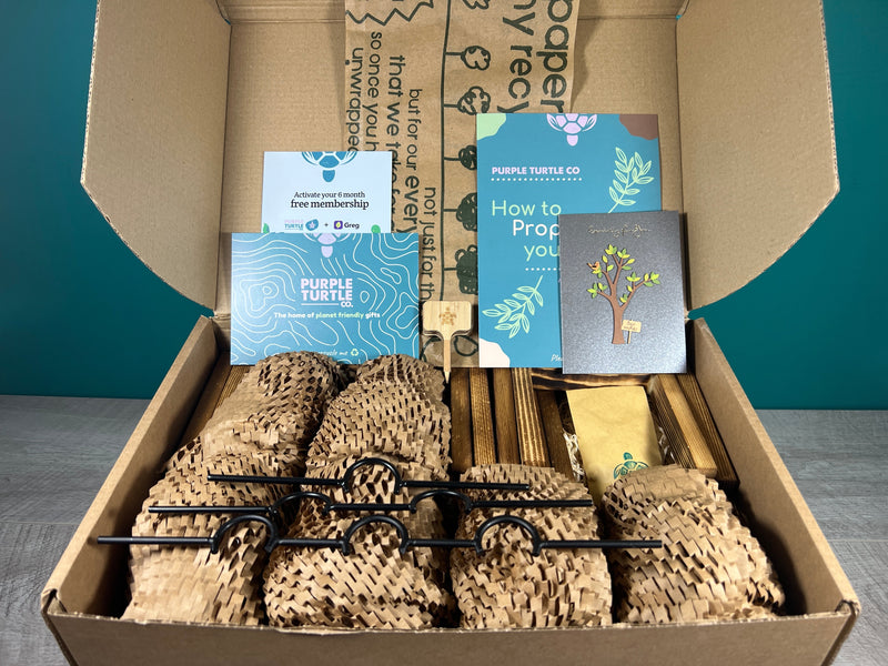 Plant Propagation Gift Set #2, alternate view