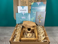 Plant Propagation Gift Set #5, size reference