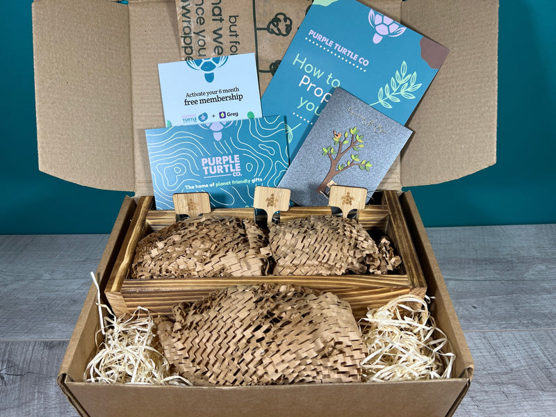 Plant Propagation Gift Set #5, close-up detail
