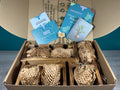 Plant Propagation Gift Set #5, alternate view