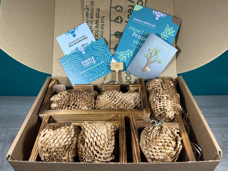 Plant Propagation Gift Set #5, alternate view