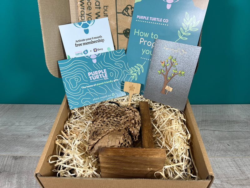 Plant Propagation Gift Set #1, close-up detail