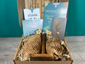 Plant Propagation Gift Set #1, packaging shot