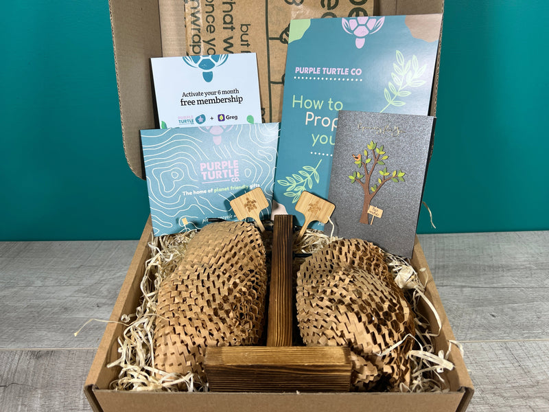 Plant Propagation Gift Set #1, packaging shot