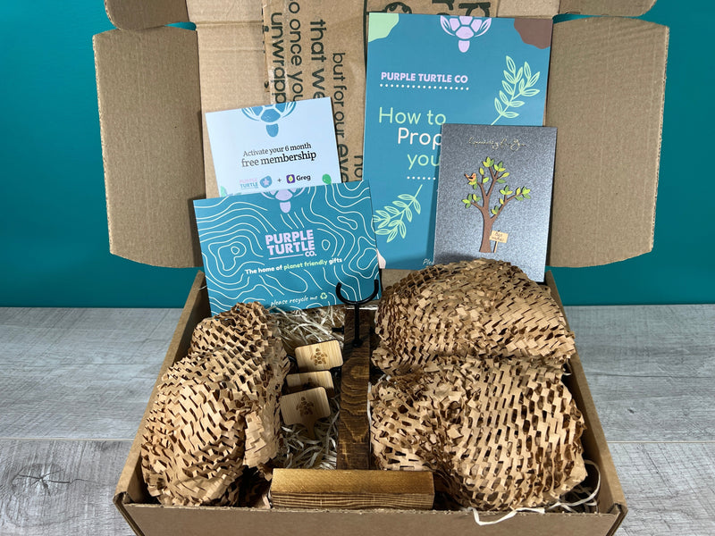 Plant Propagation Gift Set #1, size reference