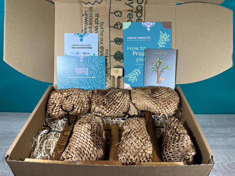 Plant Propagation Gift Set #1, alternate view