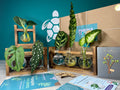 Plant Propagation Gift Set #5 collectible from Purple Turtle Co