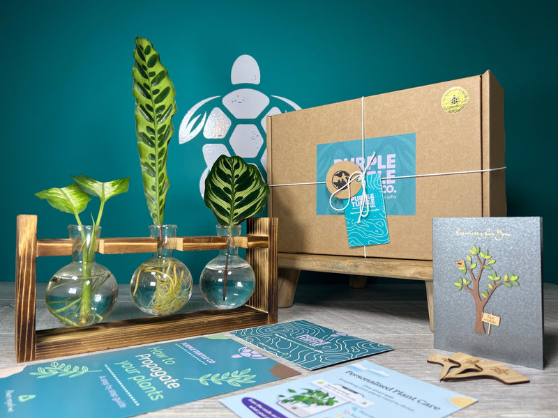 Plant Propagation Gift Set #5, side angle