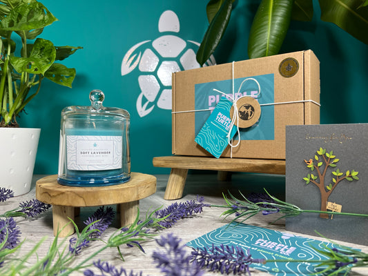 Soy Wax Lavender Candle Gift Set collectible from Purple Turtle Co