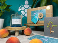 Soy Wax Peach Candle Gift Set collectible from Purple Turtle Co