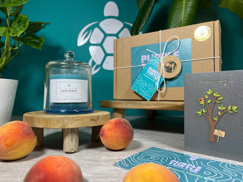 Soy Wax Peach Candle Gift Set collectible from Purple Turtle Co