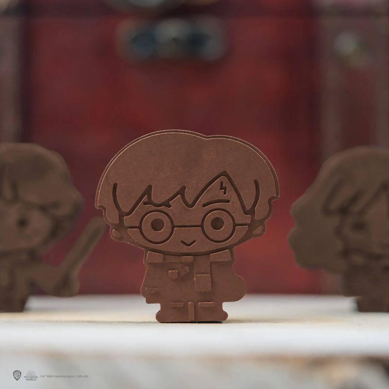 Harry Potter 12 Character Chocolate and Ice Cube Silicone Mould, close-up detail