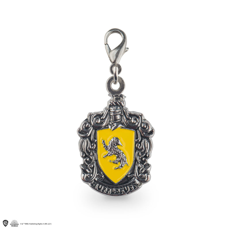 Hufflepuff Charm, close-up detail