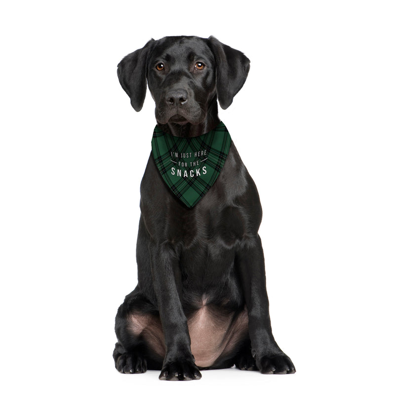 Just Here For The Snacks - Green Tartan - Dog Bandana - 4 Sizes, alternate view