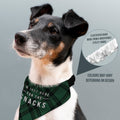 Just Here For The Snacks - Green Tartan - Dog Bandana - 4 Sizes, close-up detail