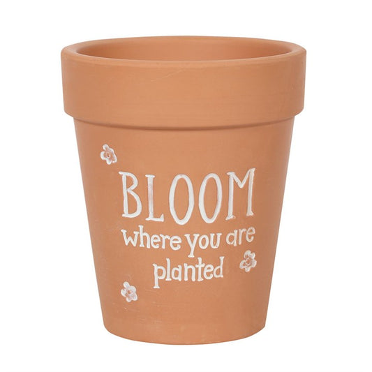 Bloom Where You Are Planted Terracotta Plant Pot, alternate view