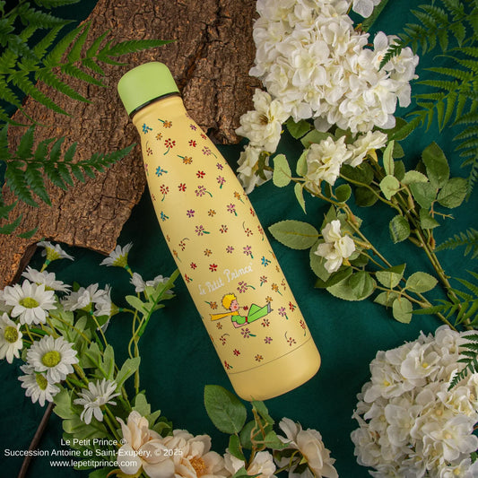 The Little Prince Wildflower Garden Insulated Water Bottle