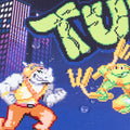 Teenage Mutant Ninja Turtles XL Mouse Mat 80 x 35 cm