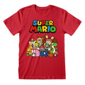 Nintendo Super Mario Main Character Group T-Shirt collectible from Heroes Inc Dropship