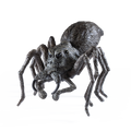 Magical Creatures #16 – Aragog - Noble collection, side angle