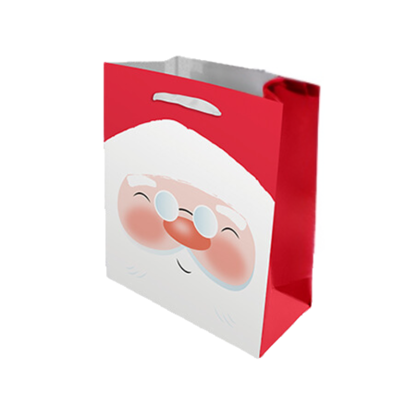 Medium Christmas Gift Bag - Santa collectible from PoundFun