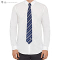 Harry Potter Ravenclaw Deluxe Tie with Pin and Gift Box, alternate view