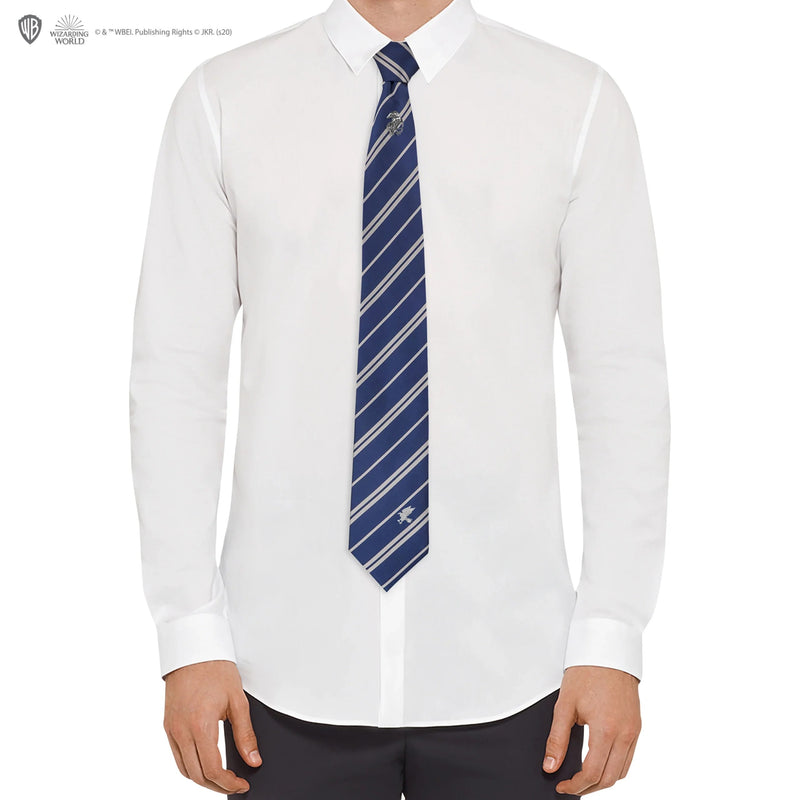 Harry Potter Ravenclaw Deluxe Tie with Pin and Gift Box, alternate view