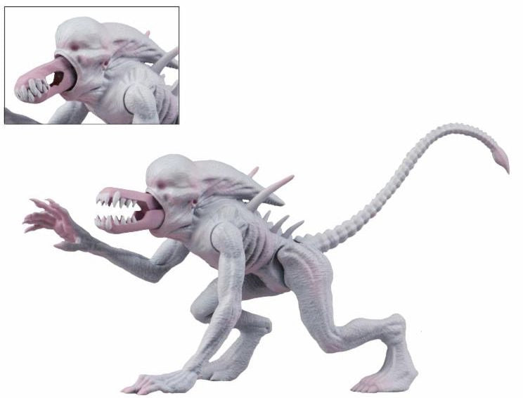 Alien and Predator 6" Scale Action Figure Assortment packaging view