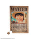 One Piece Wanted Luffy Magnetic Puzzle