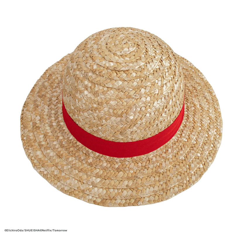 One Piece Monkey D. Luffy Straw Hat, rear view