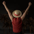 One Piece Monkey D. Luffy Straw Hat