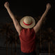 One Piece Monkey D. Luffy Straw Hat