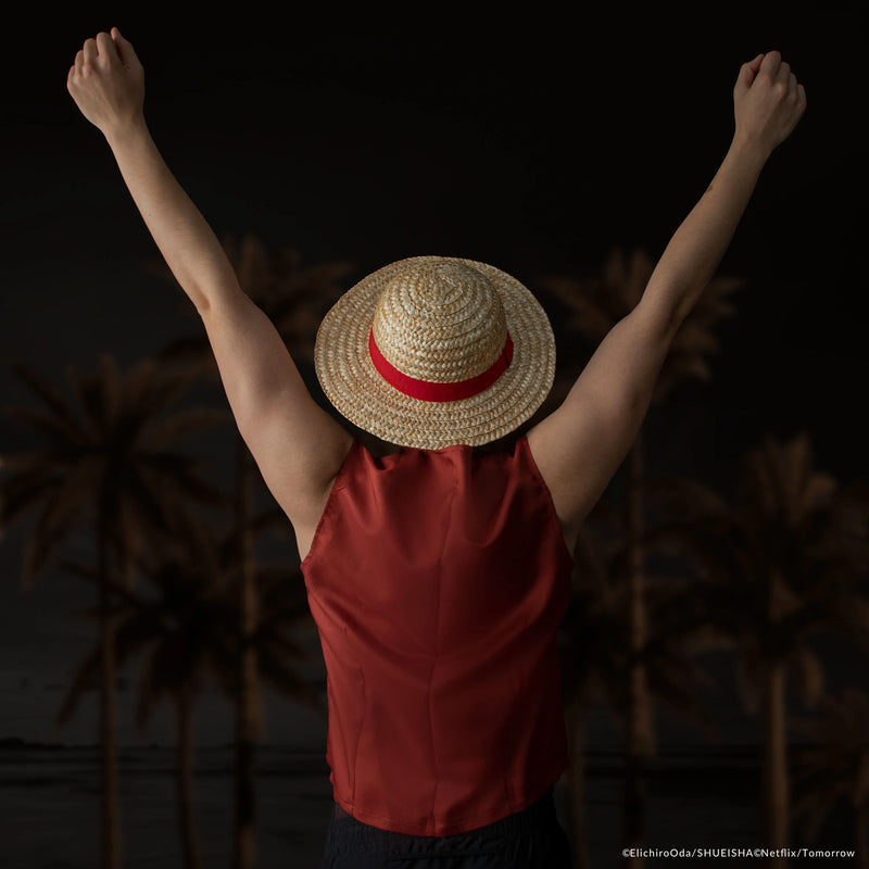 One Piece Monkey D. Luffy Straw Hat