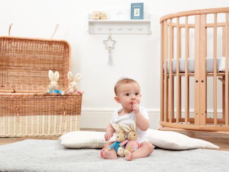 Peter Rabbit & Flopsy Bunny Bean Rattles