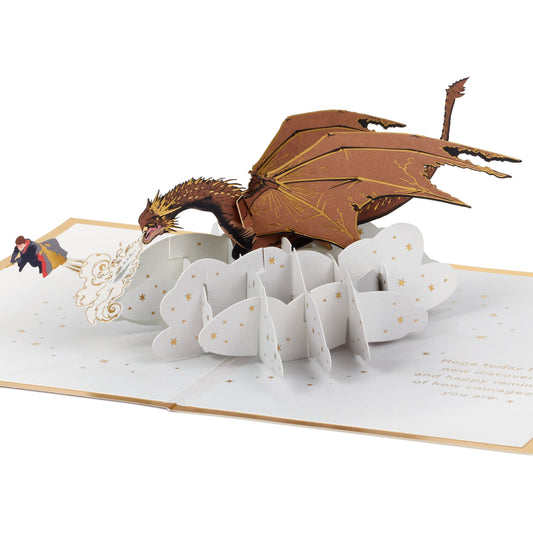 Any Occasion Greeting Card - 3D Pop-Up Harry Potter™ & Dragon Design