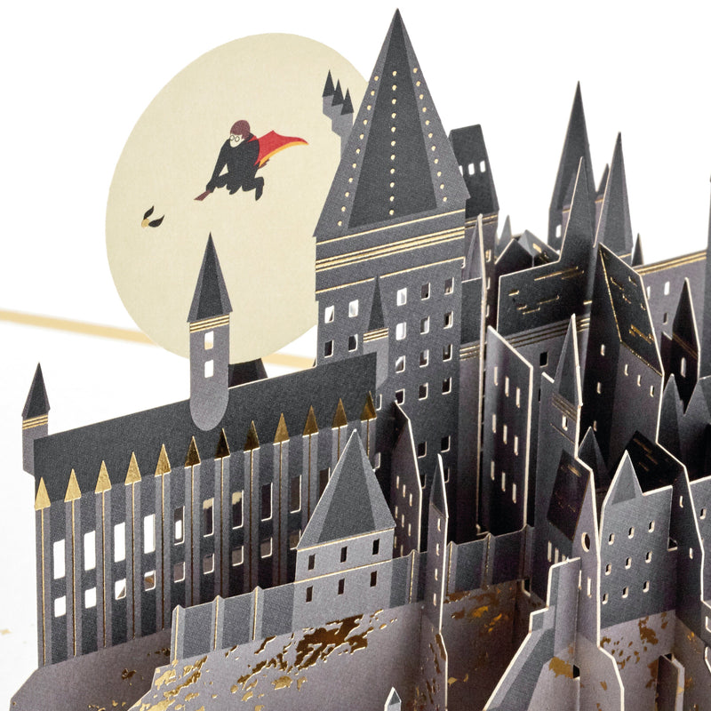 Any Occasion Card - 3D Pop-Up Harry Potter™ & Hogwarts Design
