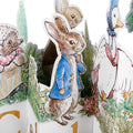 Any Occasion Card - 3D & Pop Up Beatrix Potter Peter Rabbit™ Design