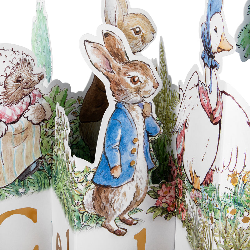 Any Occasion Card - 3D & Pop Up Beatrix Potter Peter Rabbit™ Design